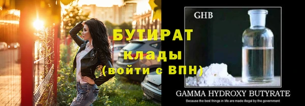 сатива Горняк