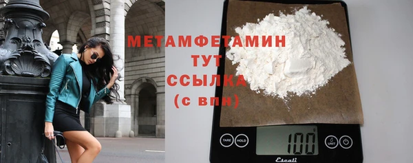 сатива Горняк