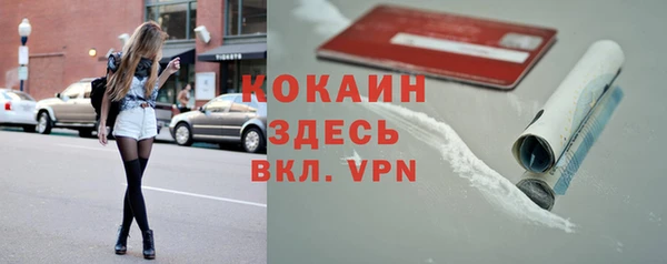 apvp Вяземский