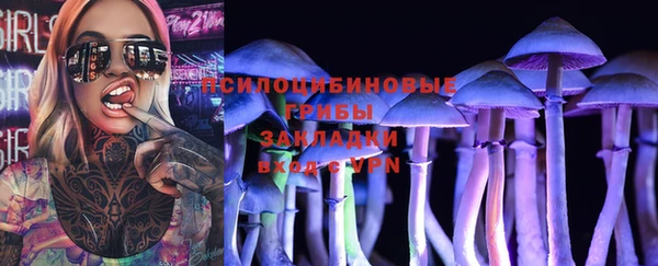 винт Болотное