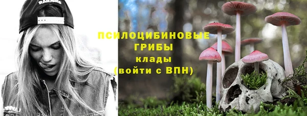 apvp Вяземский