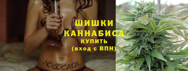 apvp Вяземский