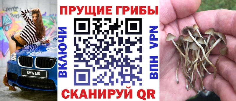 Галлюциногенные грибы MAGIC MUSHROOMS  сколько стоит  Стерлитамак 