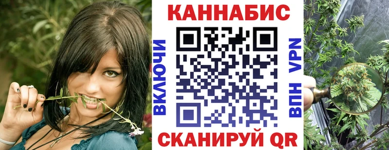 Шишки марихуана планчик Стерлитамак